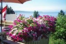 Hummingbird Bed & Breakfast
