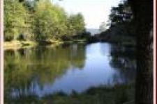 Sea Glass Bed and breakfast vacation rental