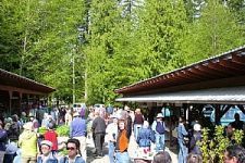 Powell River Open Air Market