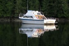Gail Warning Charters