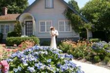 Boxwood Cottage