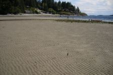 Baileys at Welcome Beach