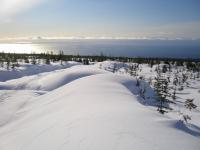 Dakota Ridge trails:  Dakota Ridge gets large amounts of snow most years there is 10-16 ft of compact snow. Temps can range from -20'c at night to + 6'c in daytime sunshine.