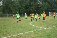 Soccer on the Sunshine Coast: Soccer is popular on the Sunshine Coast, with both children and adults alike.