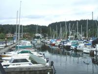 Gibsons Marina