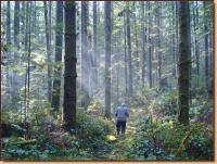 Hiking the Sunshine Coast Trail: Photo courtesy of David Moore