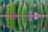 Duck Lake: Picture courtesy of Darren Robinson Photography