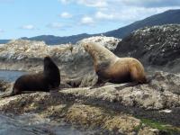 Photo courtesy of Malaspina Water Taxi