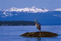 Special Deals on the Sunshine Coast