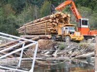 Economic Development